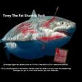 Terry The Fat Shark