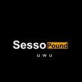 sessopound