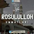 Rosululloh ummatlari🕋