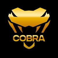 COBRA KAI eSports
