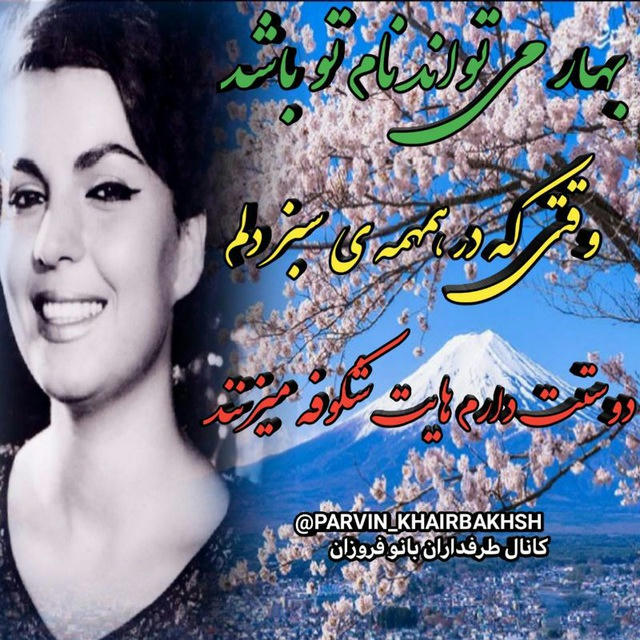 کانال طرفداران فروزان