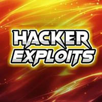 Hacking Exploits