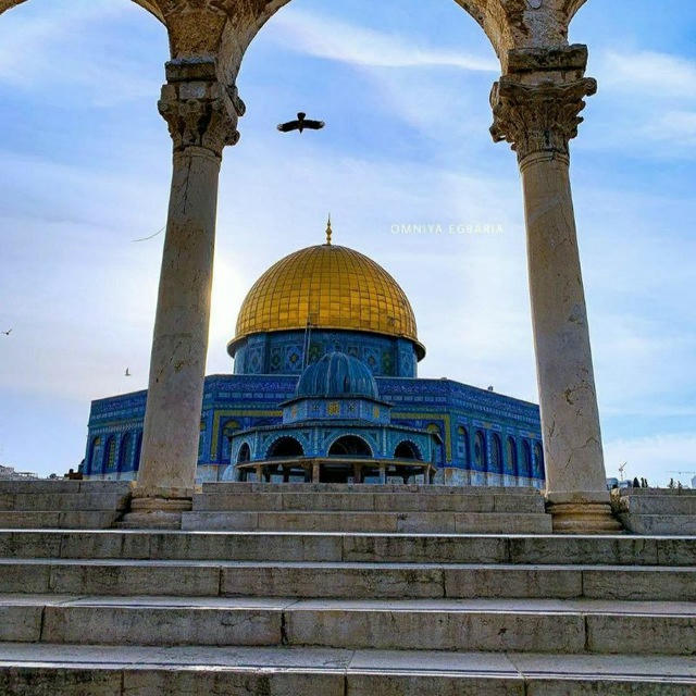 فِـلَسْـ𓂆ـطِين♡🇵🇸طـمـئن قلبــك