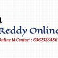 Reddy online Book