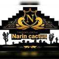 Narin.cactus