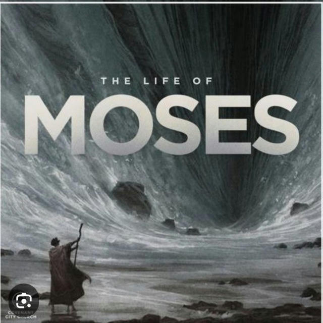 MOSES MUSA