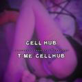 Cell Hub