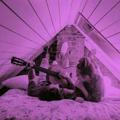 Love is purple 💜