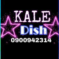 Kale satellite dish info