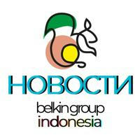 Belkin News Indonesia