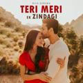 Teri Meri Ek Zindagi