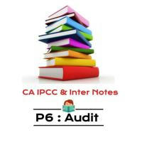 P5 Auditing & Ethics : CA Inter Notes