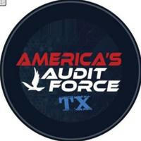 Texas Audit Force