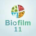 Biofilm_11