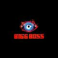 BIGG BOSS 16