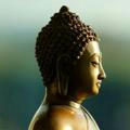 Bodhi dharma online tnpsc coaching