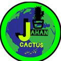 cactus_jahan
