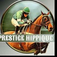 Pronostics PMU 🐎 🇫🇷Prestigehippique🇫🇷 Quinté