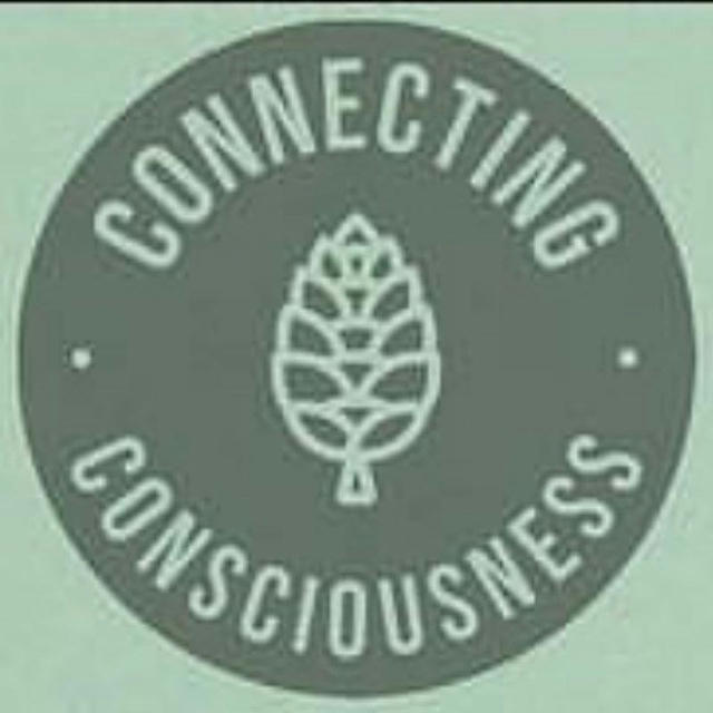 CONNECTING CONSCIOUSNESS