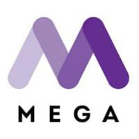 Mega Investment Group