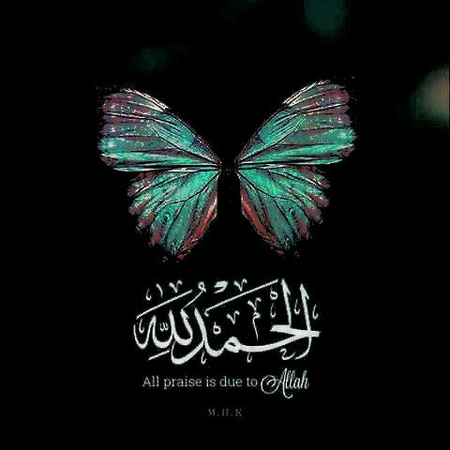 🦋QURAN | قُرآن🦋