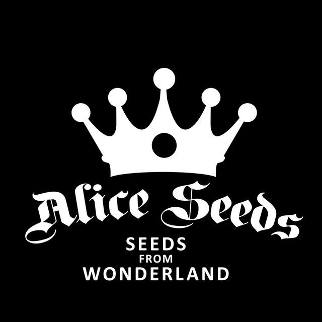 Official www.aliceseeds.com