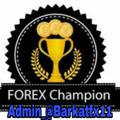Forex champion