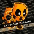 Handsome Haramii
