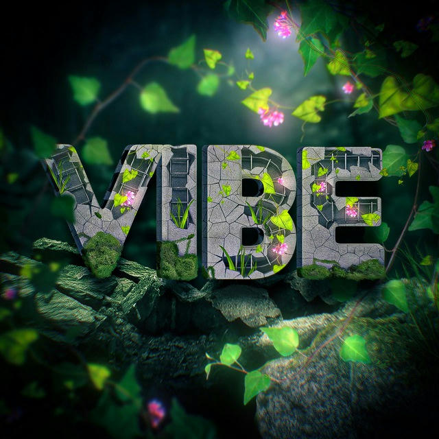 Vibe | Portfolio