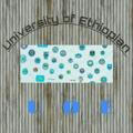 University of Ethiopian ( UOE)