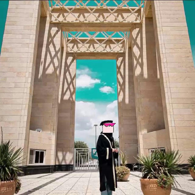 دانشگاه هاروارد شعبه ایران