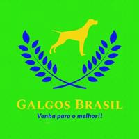 🐶💚🇧🇷 Galgos Brasil 🇧🇷💚🐶