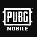 PUBG MOBILE STORE