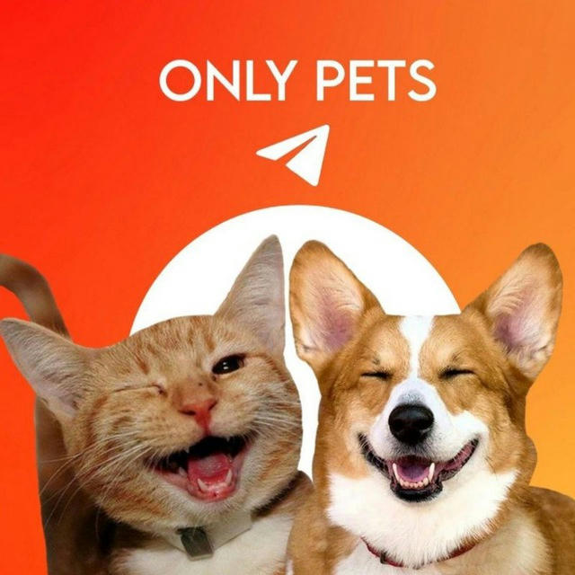 Only Pets