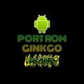 ROM PORT GINKGO