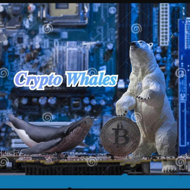 Crypto Whales Channel🐳