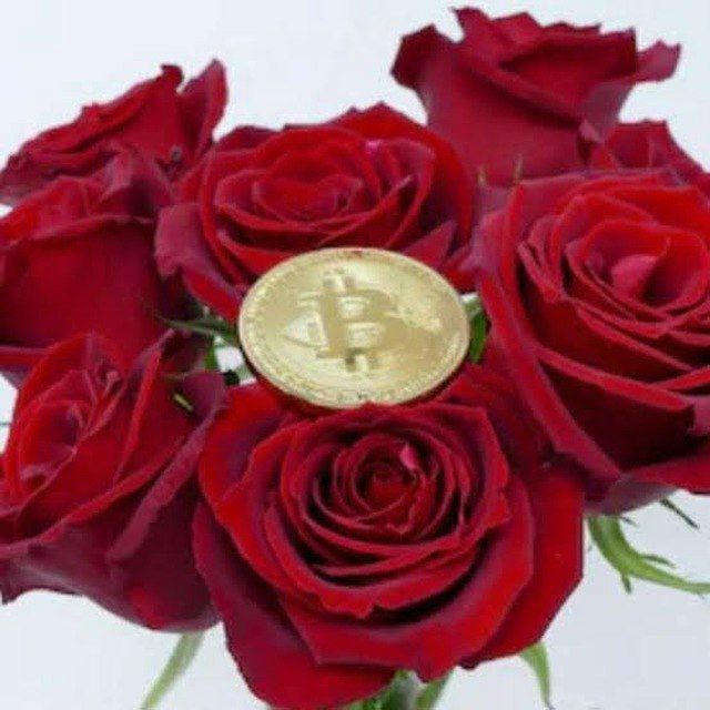 Rose Challenge - 0.1BTC to 100BTC🌹