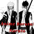 Anime Boruto/Naruto