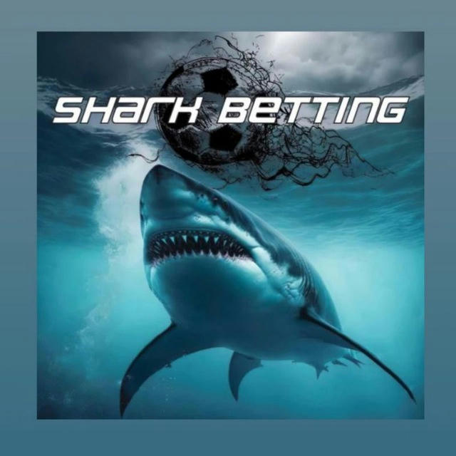 Shark betting