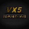 VX5 SCRIMS ( DMO )