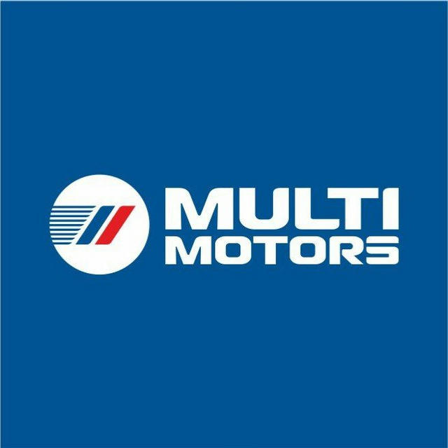 Multimotors | электромобили