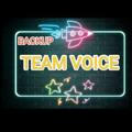 OFFICIAL Team'voice