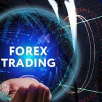 FOREX INVESTMENT CRYPTOCURRENCY
