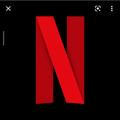 Netflix all movies and Wed series