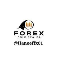 📉FOREX GOLD SCALER📈