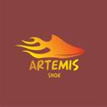 Artemis shoes