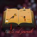 Little red journal