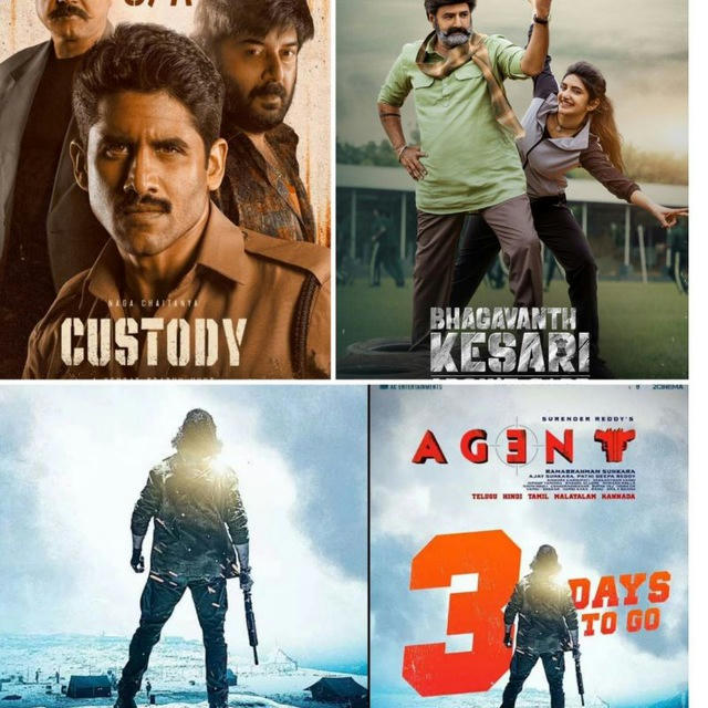 Bhagwanth Kesari Custody Agent Hindi Movie 💯