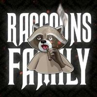 Raccoons Family