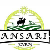 Ansari farm